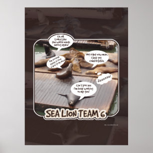 Sea Lion Team 6 Funny Ocean Life Slogan Poster