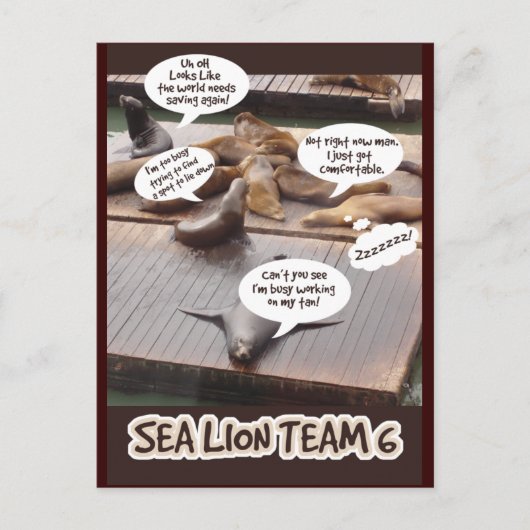Sea Lion Team Six Postkarte (Vorderseite)