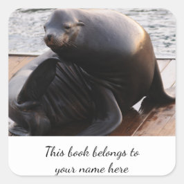 Sea Lion "This book gehört" Aufkleber