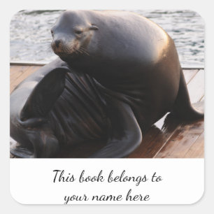 Sea Lion "This book gehört" Aufkleber