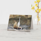 Sea Lion und Egret Grußkarte Karte (Gelbe Blume)