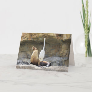 Sea Lion und Egret Grußkarte Karte