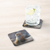 Sea Lion Untersetzer (Rechte Seite)