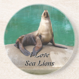 Sea Lion Untersetzer