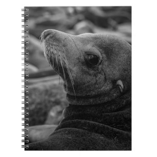 Sea Lion Zurück - Niedliche Naturfotografie Notizblock