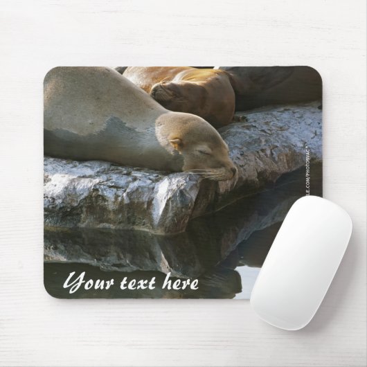 Sea Lions Mousepad (Mit Mouse)