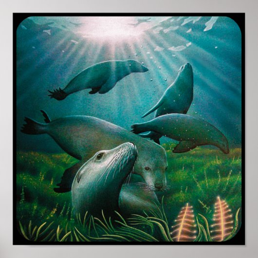 Sea Lions Poster (Vorne)