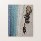 Sea Lions Puzzle (Vertikal)