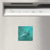 Sea Lions Square Magnet (In Situ (Geschirrspüler))
