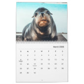 Sea Lions Wall Calendar Kalender (Mär 2026)
