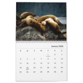 Sea Lions Wall Calendar Kalender (Jan 2026)
