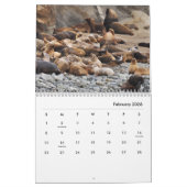 Sea Lions Wall Calendar Kalender (Feb 2026)