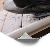 Sea Löwe Poster (Ecke)