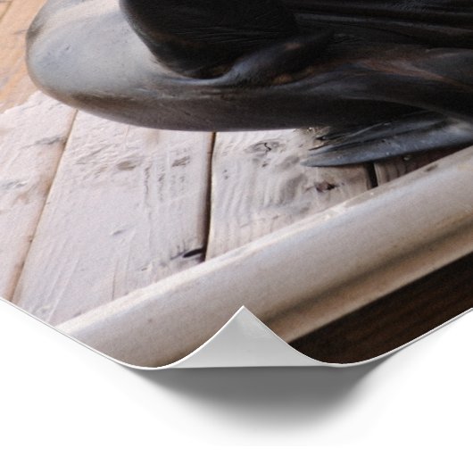 Sea Löwe Poster (Ecke)