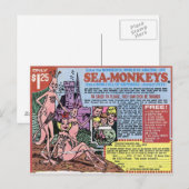 Sea Monkeys Postkarte (Vorne/Hinten)