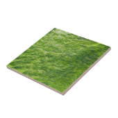 Sea Moss Green Nature Grass Beach Nautical Fliese (Seite)