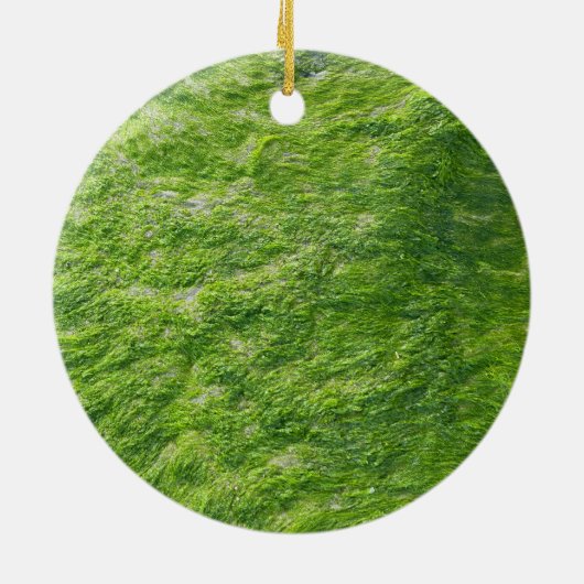 Sea Moss Green Nature Grass Beach Nautical Keramik Ornament (Hinten)