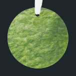 Sea Moss Green Nature Grass Beach Nautical Ornament<br><div class="desc">Entworfen mit coolem Strandfoto von Meermoos!</div>
