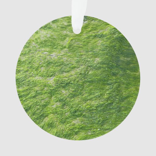 Sea Moss Green Nature Grass Beach Nautical Ornament (Vorderseite)