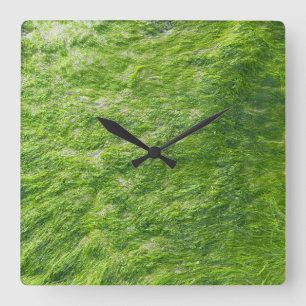 Sea Moss Green Nature Grass Beach Nautical Quadratische Wanduhr