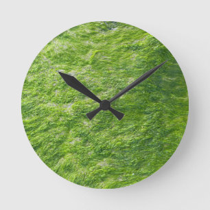 Sea Moss Green Nature Grass Beach Nautical Runde Wanduhr