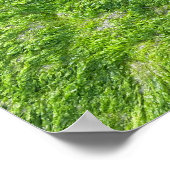 Sea Moss Green Nature Landschaftliche Nautical Coa Poster (Ecke)