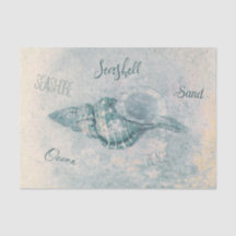 Sea Muschel Aquamarin Beige Vintag Ocean Beach Scr