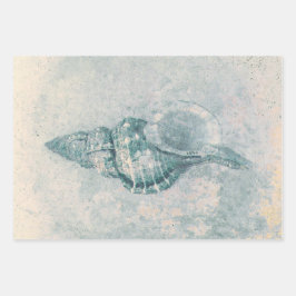 Sea Muschel Aquamarin Beige Vintag Ocean Beach Tex Geschenkpapier Set
