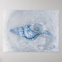 Sea Muschel Blau Vintag antiker Ozean Strand Textu Poster
