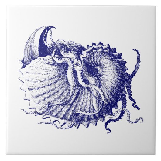 Sea Muschel Nautilus Blue & White Fliese (Vorderseite)