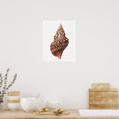 Sea Muschel Nr. 1 Stranddekor Art Print Poster (Küche)