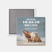 Sea-Muschel Speichern Sie das Datumsfenster Magnet (Vorderseite/Rückseite)