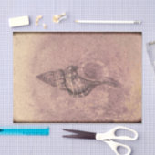 Sea Muschel Vintag Ocean Beach Grunge Textur Seidenpapier (Handwerk)