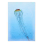 Sea Nettle Fotodruck (Vorne)