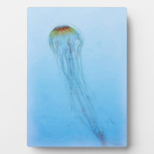 Sea Nettle Fotoplatte