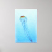 Sea Nettle Leinwanddruck (Vorderseite)