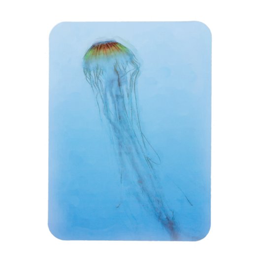 Sea Nettle Magnet (Vertikal)