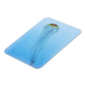 Sea Nettle Magnet (Linke Seite)