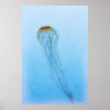 Sea Nettle
