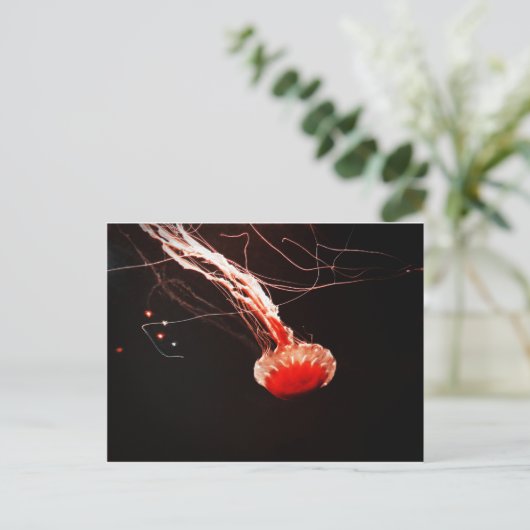 Sea Nettle Postkarte (Stehend Vorderseite)