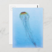 Sea Nettle Postkarte (Vorne/Hinten)
