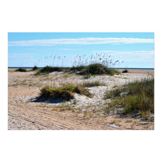 Sea Oats am Strand Fotodruck (Vorne)