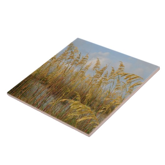 Sea Oats auf dem Strand Sanddünen Fliese (Seite)