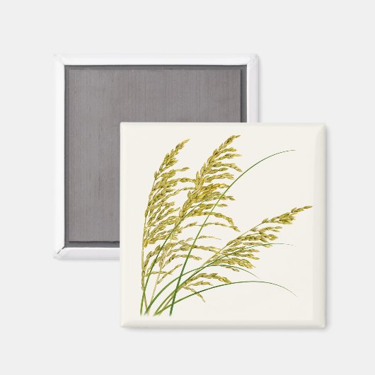 Sea Oats Magnet (Vorderseite/Rückseite)