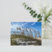 "Sea Oats" Postkarte (Stehend Vorderseite)