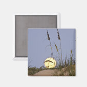Sea Oats Uniola paniculata), der auf Sand wächst Magnet (Vorderseite/Rückseite)