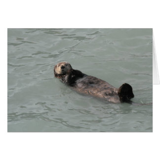 Sea Otter