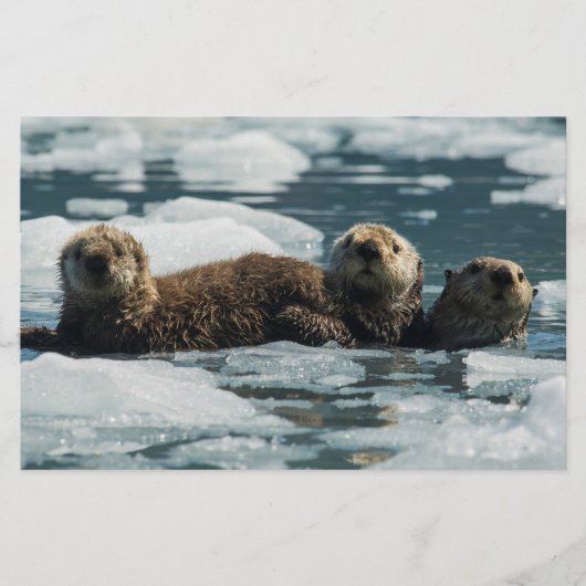 Sea Otter Briefpapier (Vorderseite)