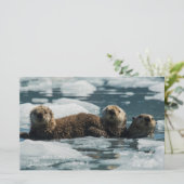 Sea Otter Briefpapier (Stehend Vorderseite)