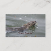 Sea Otter Business Card Visitenkarte (Rückseite)